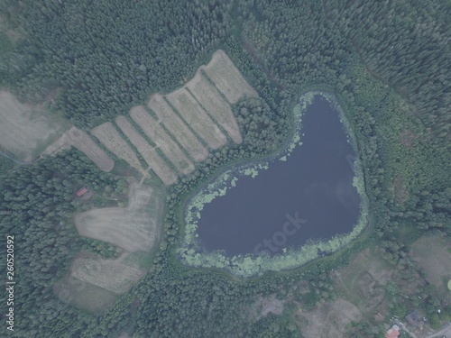 Pond from above