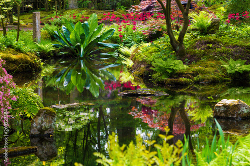 Foto Wonderful Azalea  and  other  blossom in Japanese garden  in Hague