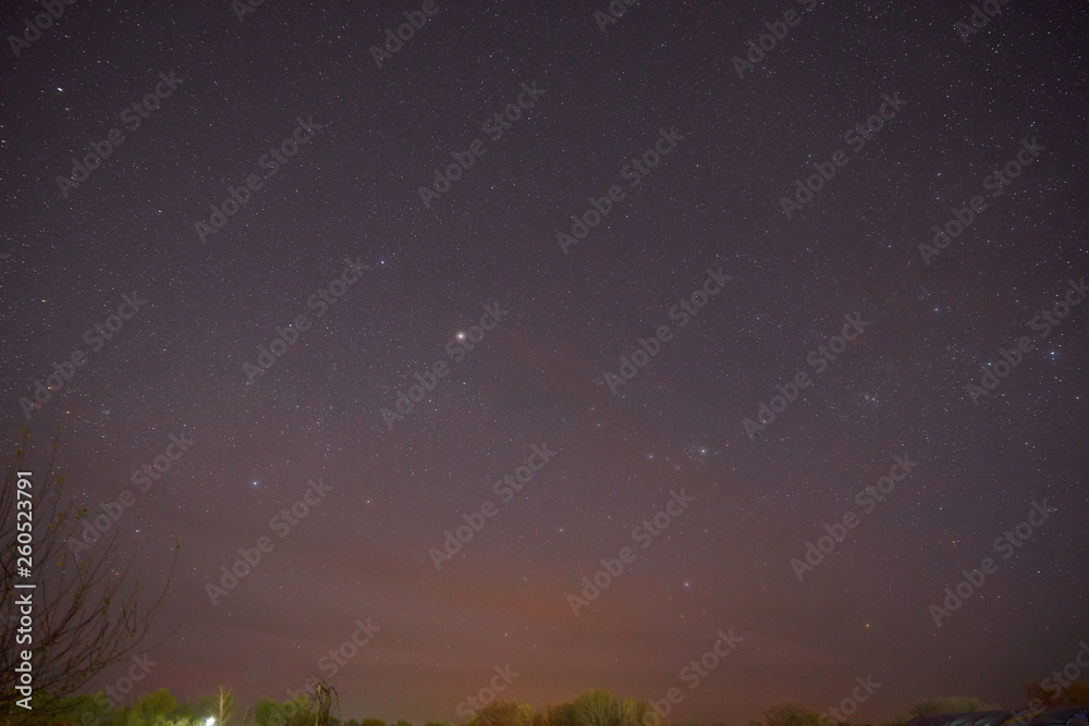 Fototapeta premium Evening shining starry sky, blue space background with stars. Night sky full of stars and sunrise on the background horizon. Cosmos. Purple dark sky with many stars above field of trees
