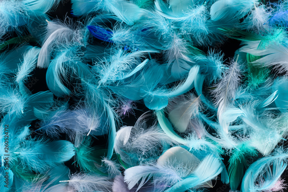 Obraz premium seamless background with bright blue, green and turquoise feathers isolated on black