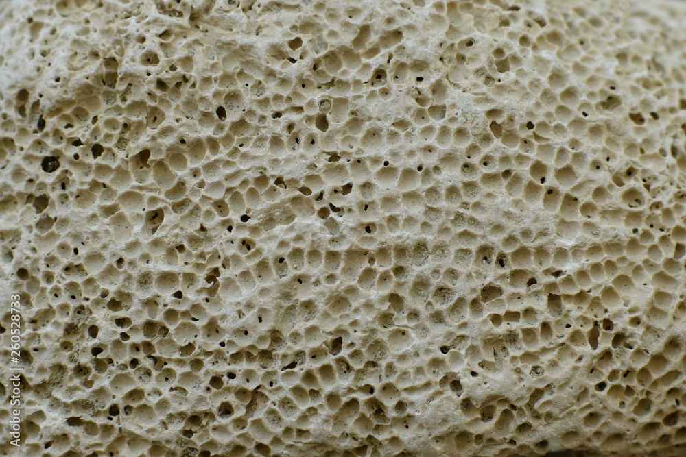 pumice stone background texture Stock Photo | Adobe Stock