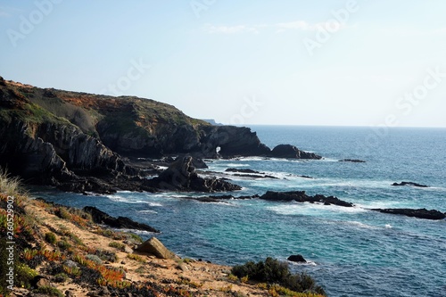 Cliffs by the sea, spring plants on the cliffs, rock formations in the water. Rota Vicentina, Alentejo, Portugal