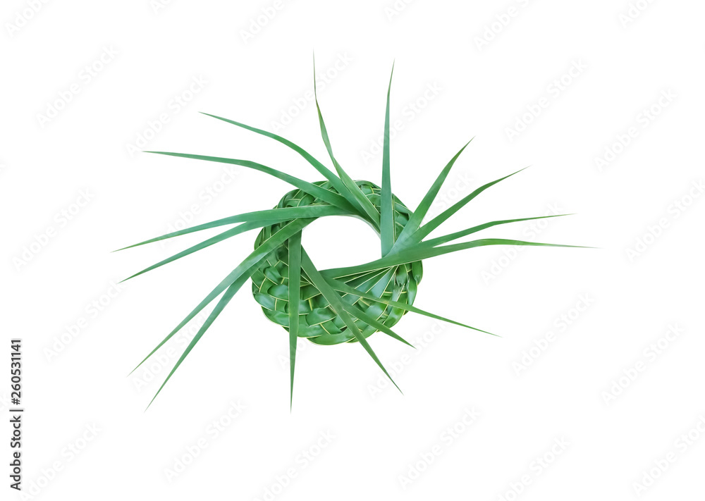 Parade hats made from fresh green palm leaf , woven texture crafts isolated on white background with clipping path Parade hats made from fresh green palm leaf , woven texture crafts isolated on white background with clipping path