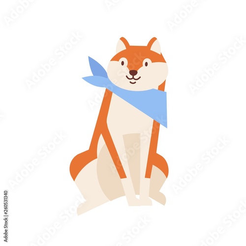 Cute cheerful Akita Inu wearing neck scarf. Amusing sitting dog or puppy of Japanese breed isolated on white background. Daily life of domestic animal or pet. Flat cartoon vector illustration.