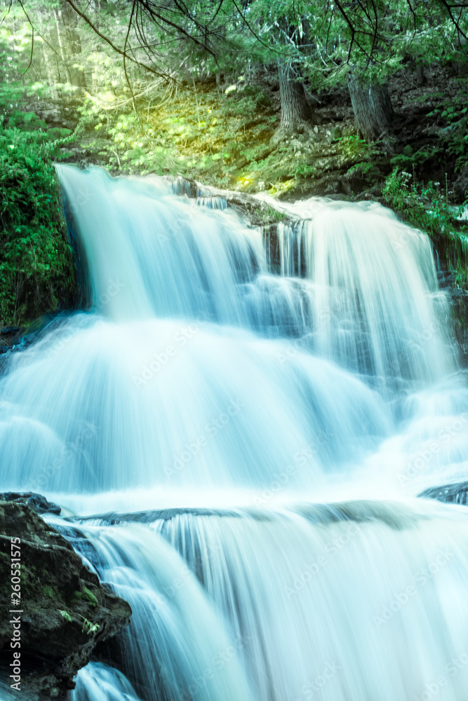 Fototapeta premium Water falls in green forest