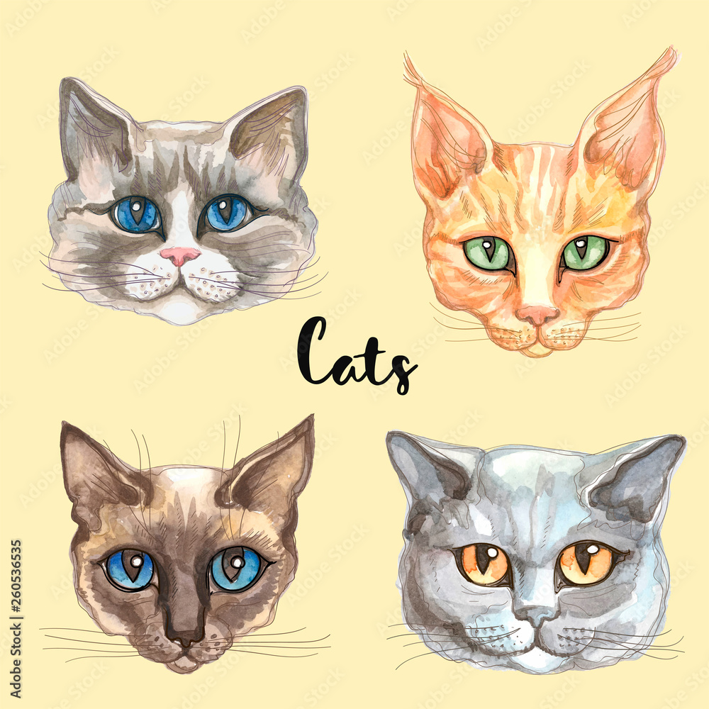 Faces of cats of different breeds. Set. Vector. Watercolor Faces of cats of different breeds. Set. Vector. Watercolor