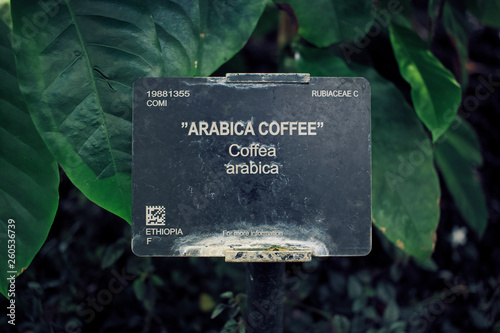 Arabica Coffee Sign