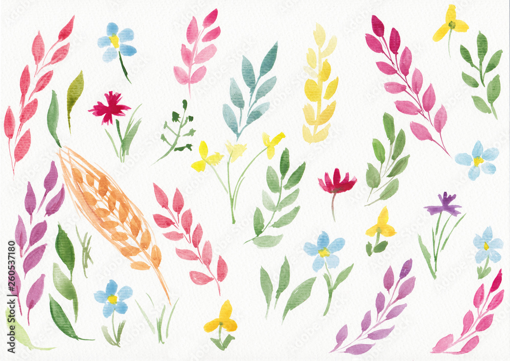 Set of watercolor illustration with spring flowers and leaves