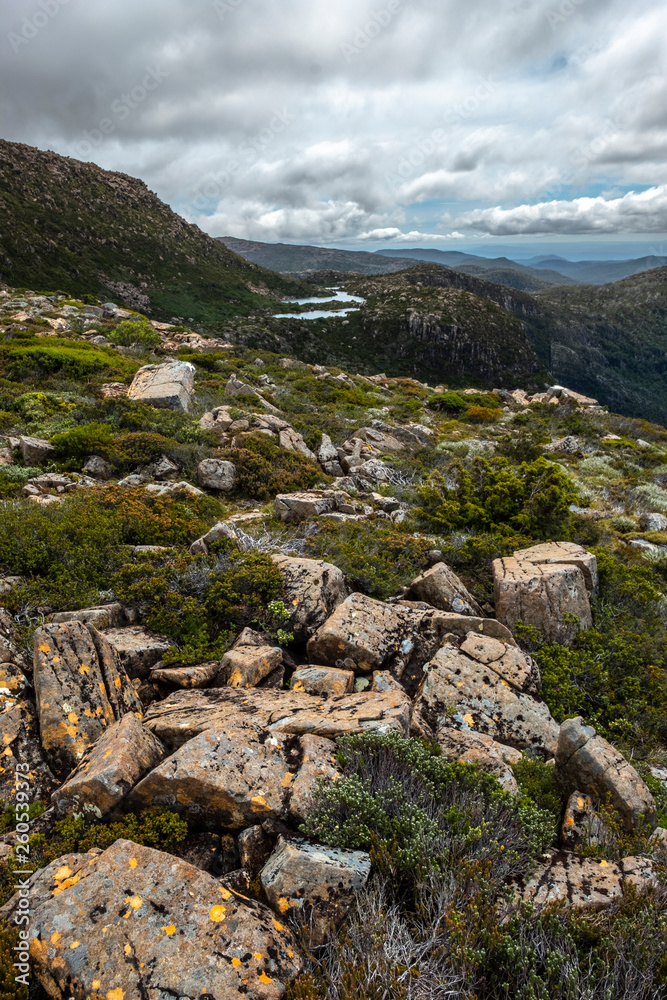 Tarn Shelf Track. Mt Field. Tasmania Tarn Shelf Track. Mt Field. Tasmania