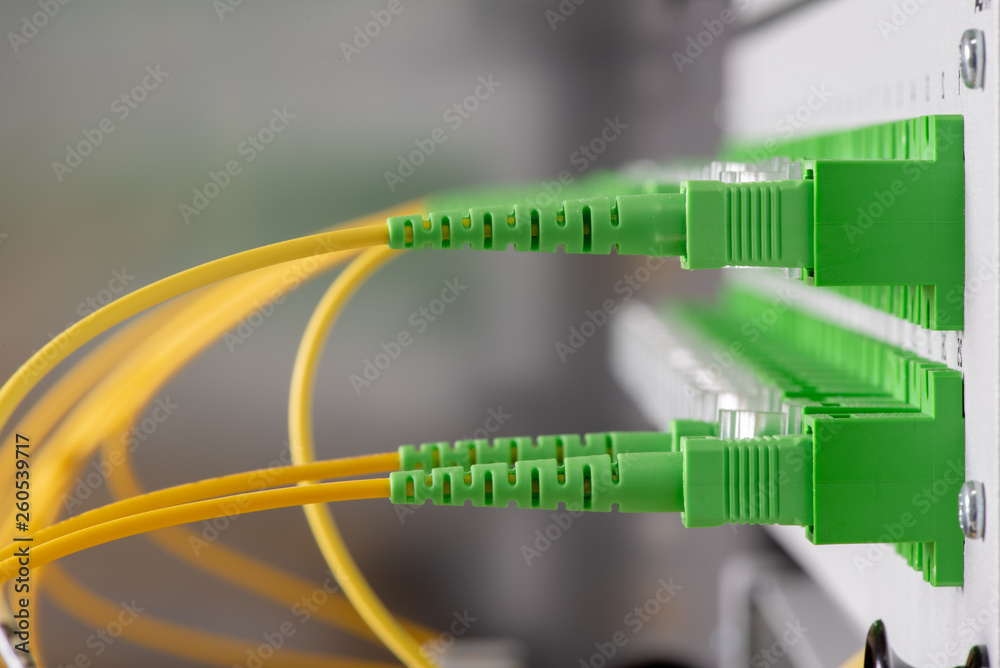 Fiber Optical Network Panel with Patchcords Close-up Fiber Optical Network Panel with Patchcords Close-up