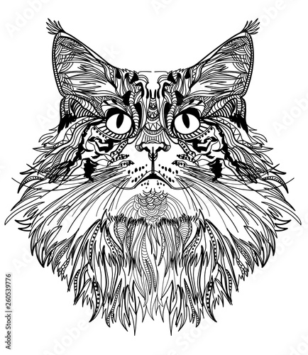 The head of a cat. Fluffy kitten. Drawing manually in vintage style. Meditative coloring. Coloring for children. Arrows, points, patterns.