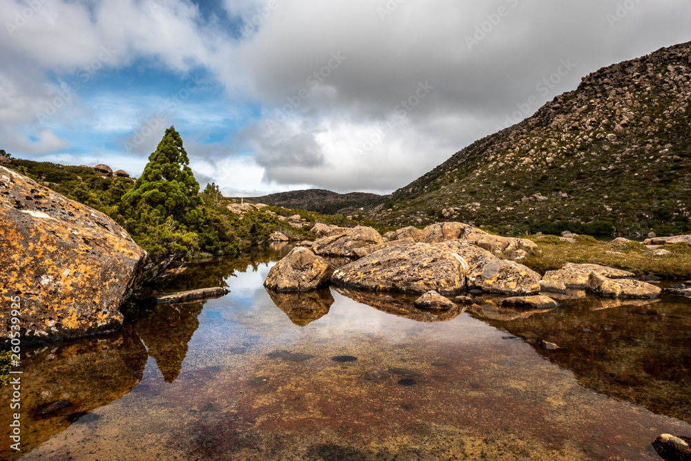 Tarn Shelf Track. Mt Field. Tasmania