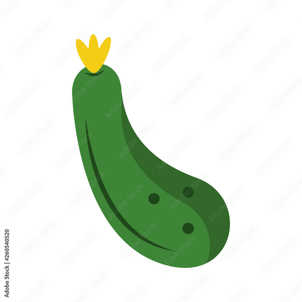zucchini fresh vegetable
