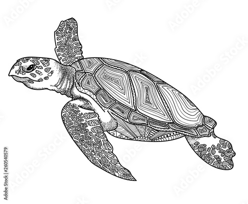 The sea turtle swims. Meditative coloring of antistress. Arrows, strips, scales, lines. Logo, print on the T-shirt. Children's painting, drawing by hand. 
