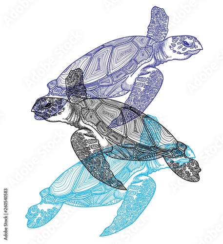 The sea turtle swims. Meditative coloring of antistress. Arrows, strips, scales, lines. Logo, print on the T-shirt. Children's painting, drawing by hand. 