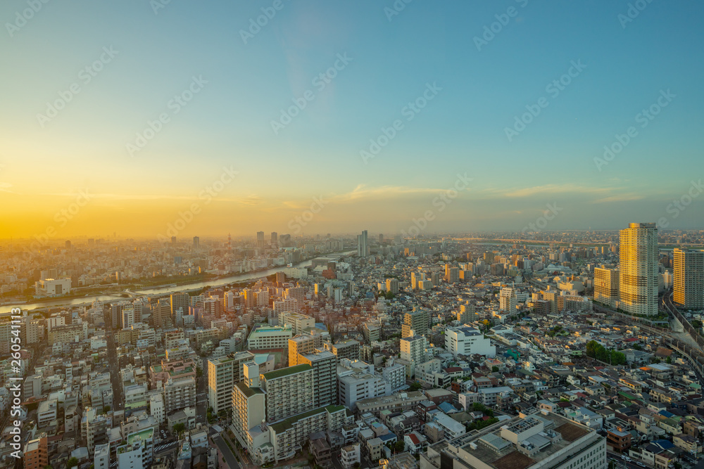 東京 町並み 鳥瞰 パノラマ
