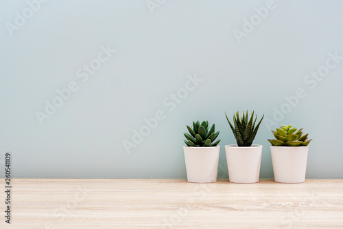 Wooden desk table top with tree pot on white wall  with copy space