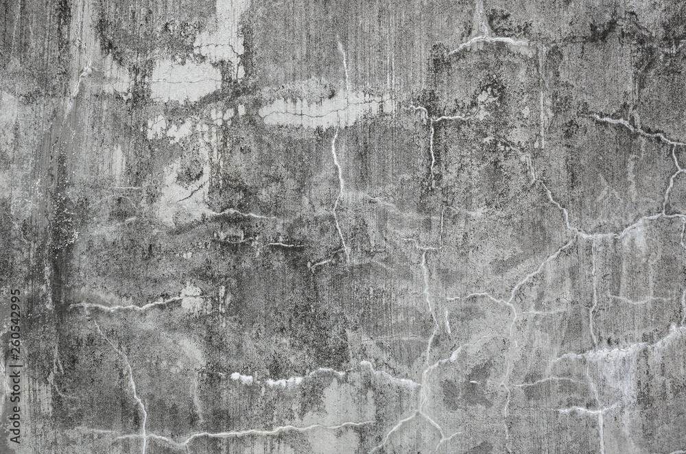 Fototapeta premium mildewed wall background