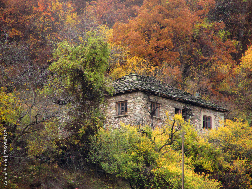 old house in the forest old house in the forest