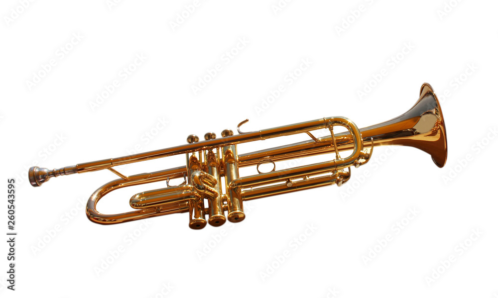 Obraz premium trumpet on white background