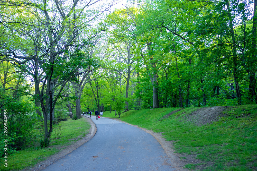 enjoying the park in New England on a spring late afternoon