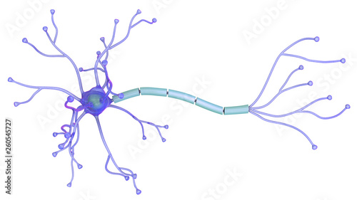 Canvas Print 3D illustration of neuron