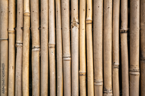 Fototapeta Naklejka Na Ścianę i Meble -  yellow bamboo wall background