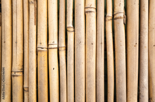 Fototapeta Naklejka Na Ścianę i Meble -  yellow bamboo wall background