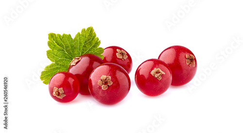 Photography Red currant berries on White Background