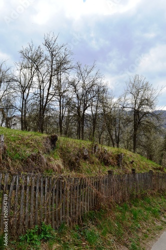 fences and trees in the village