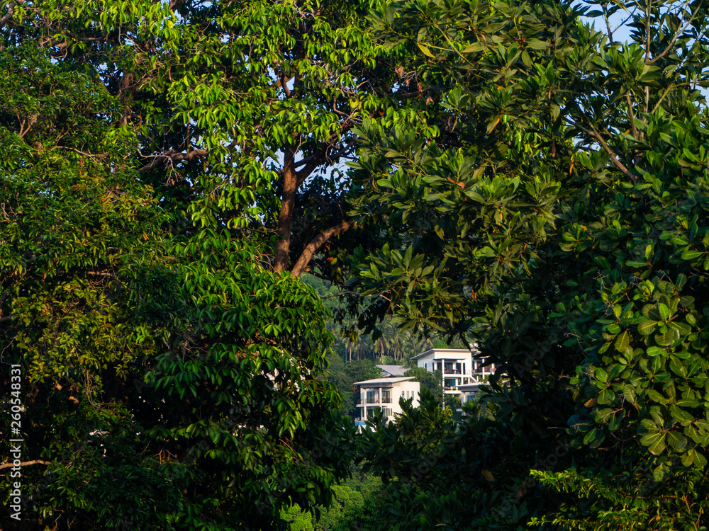 House on a hill through the trees on Koh Phangan. Thailand House on a hill through the trees on Koh Phangan. Thailand