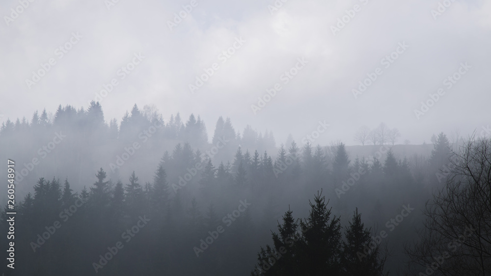 Foggy mountains are a picturesque landscape