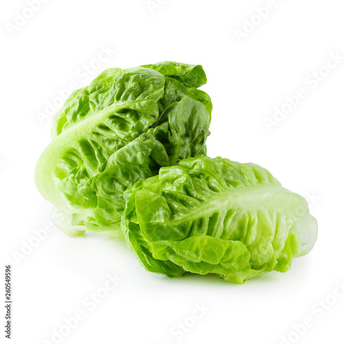 fresh baby Cos Lettuce Isolated over the White Background.