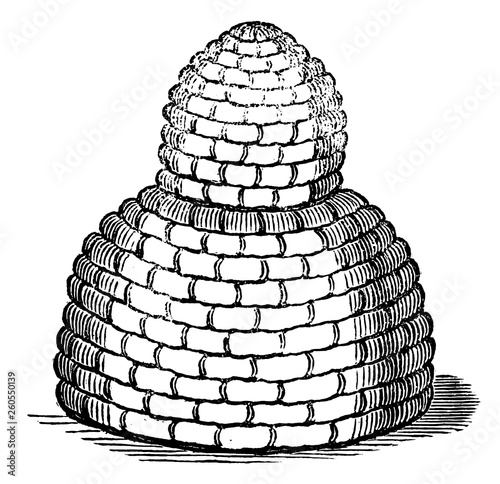 Vintage Vector Drawing or Engraving of Antique Old Style Bee Hive or Beehive Made From Straw