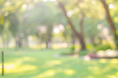 Fotografia abstract bio green blur nature background trees lush foliage in the park at morning with sunlight