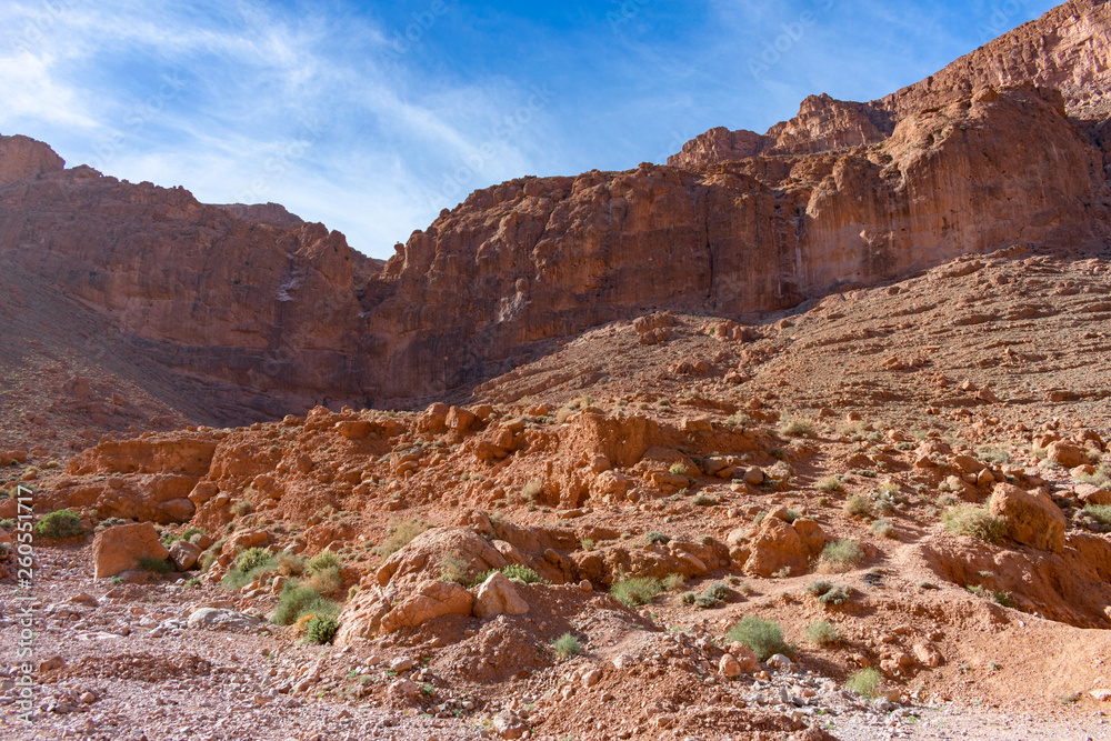 Landscape at Todra Gorge in Morocco