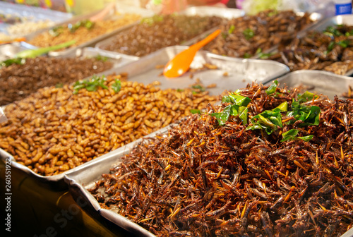 grass hopper fried on street market © Yanukit