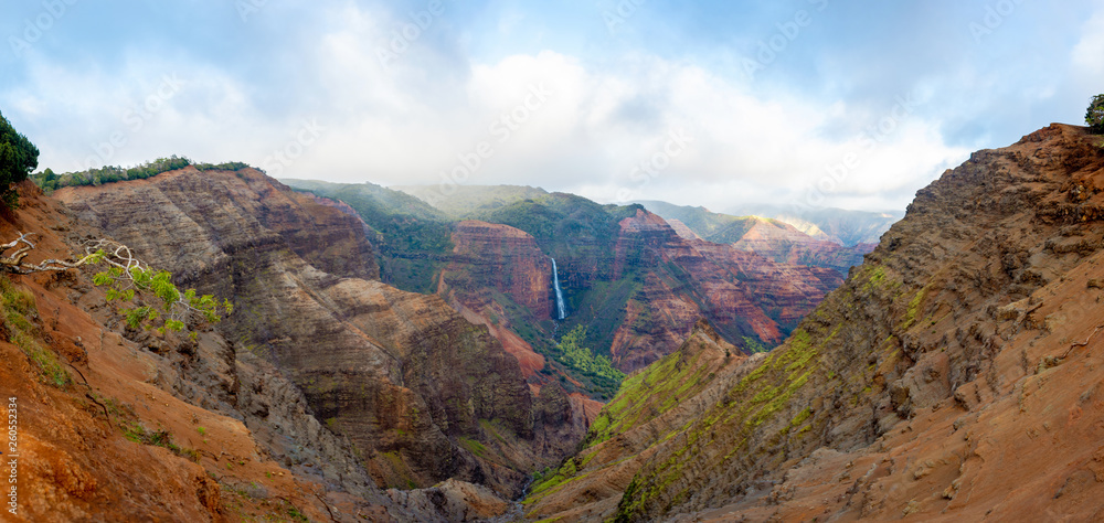 Stunning view into Waimea Canyon, Kauai, Hawaii
