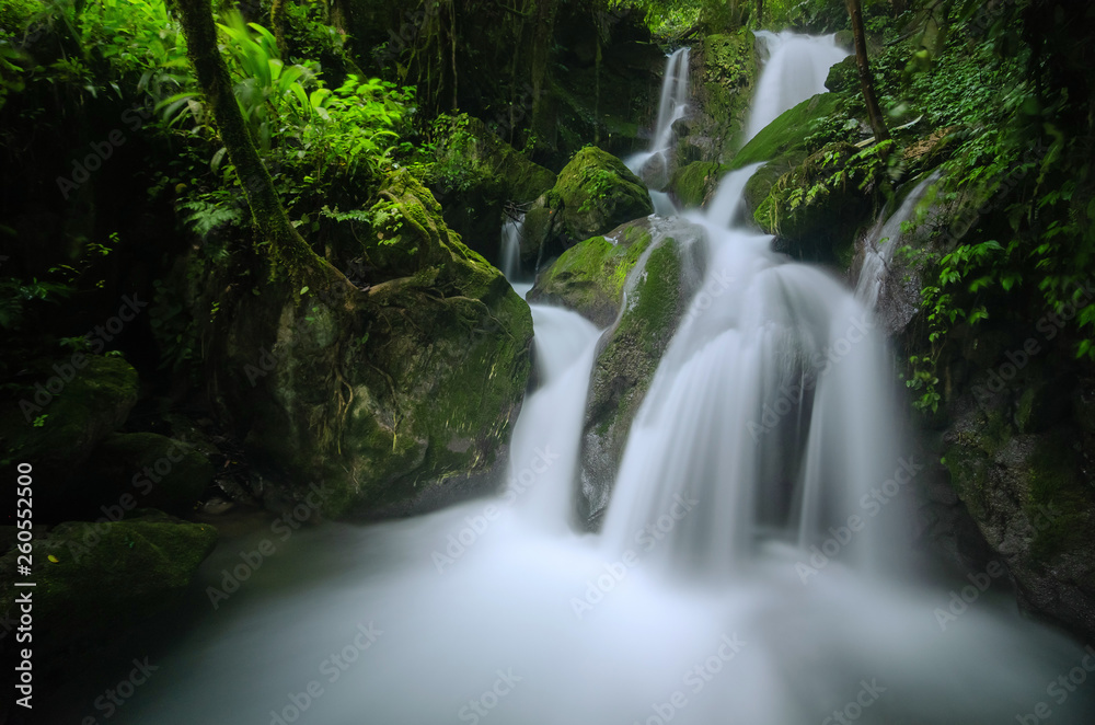 Naklejka premium Waterfall in Forest