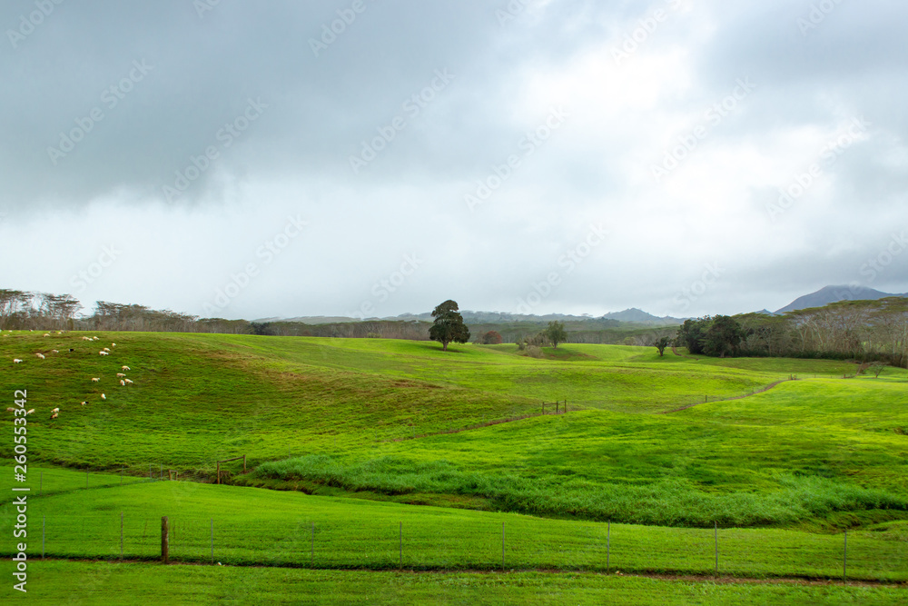 A beautiful green landscape of a mountain in hawaii A beautiful green landscape of a mountain in hawaii