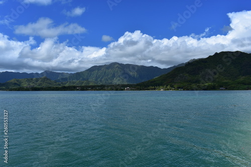 Mountains along the Pacific Ocean. Dense jungle growing around and up the steep slopes under a beautiful blue sky © Justin