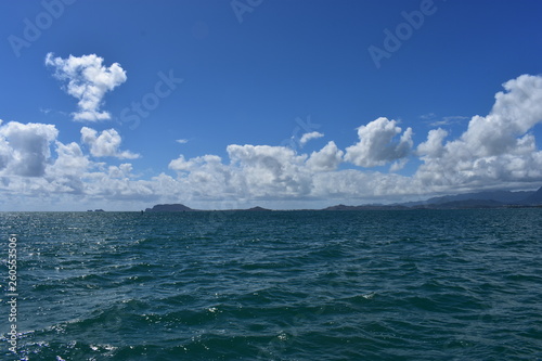 Mountains along the Pacific Ocean. Dense jungle growing around and up the steep slopes under a beautiful blue sky