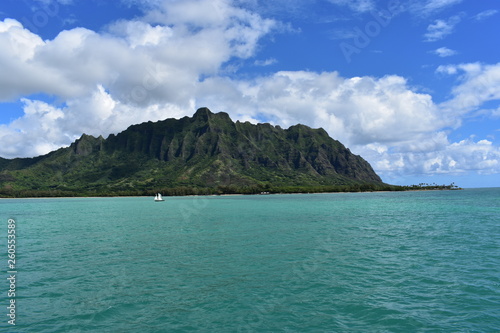 Mountains along the Pacific Ocean. Dense jungle growing around and up the steep slopes under a beautiful blue sky