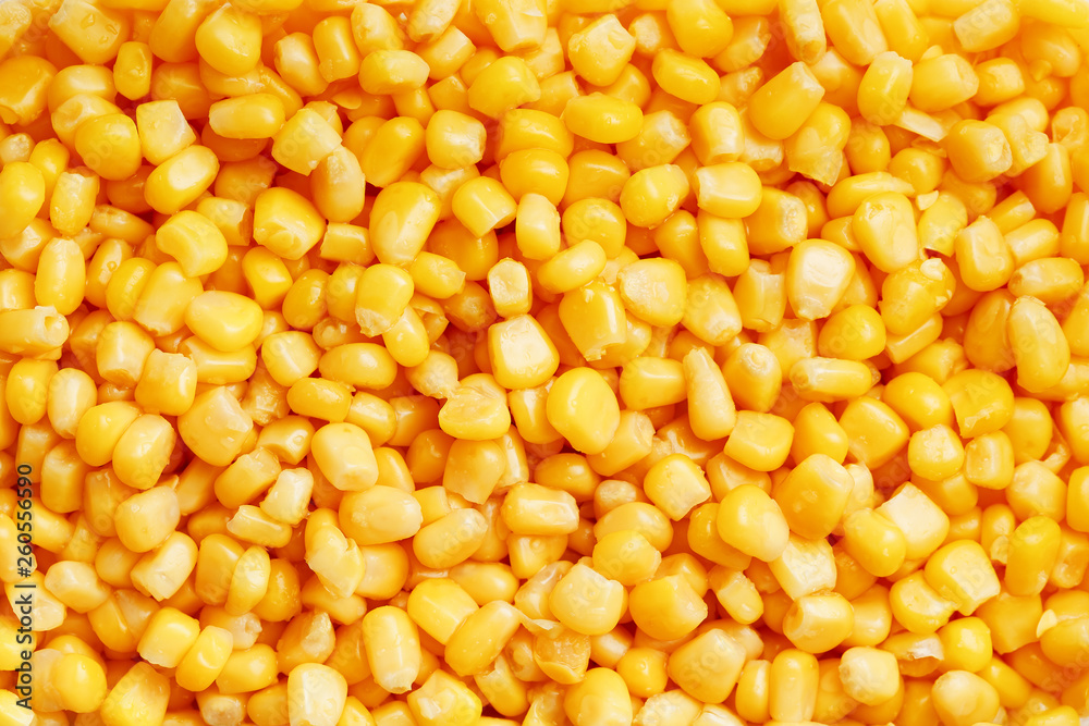 Golden canned corn, as distributed on a plane background and texture of popcorn. Before watching a movie top view. Close-up Golden canned corn, as distributed on a plane background and texture of popcorn. Before watching a movie top view. Close-up