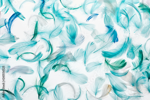 seamless background with multicolored green, grey and turquoise lightweight feathers isolated on white
