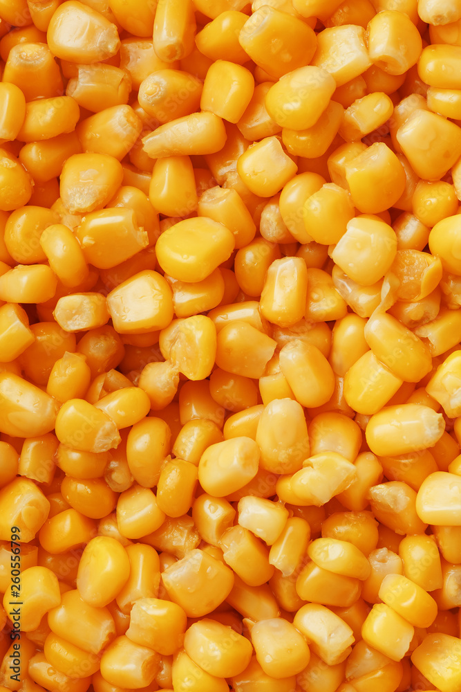 Golden canned corn, as distributed on a plane background and texture of popcorn. Before watching a movie top view. Close-up Golden canned corn, as distributed on a plane background and texture of popcorn. Before watching a movie top view. Close-up