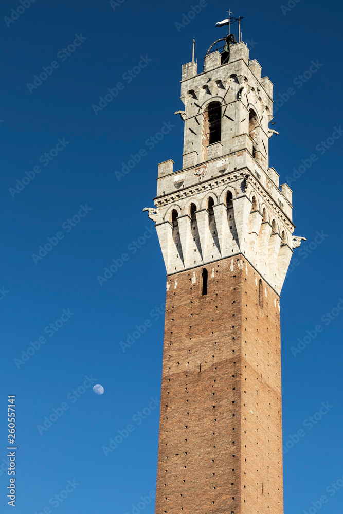 Siena's famous landmark tall bell tower on a solid blue sky