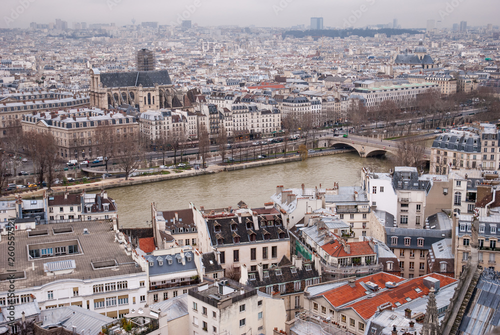 aerial view of Paris and Seine river
