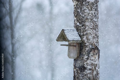 winter landscape of birdshouse in the snow photo