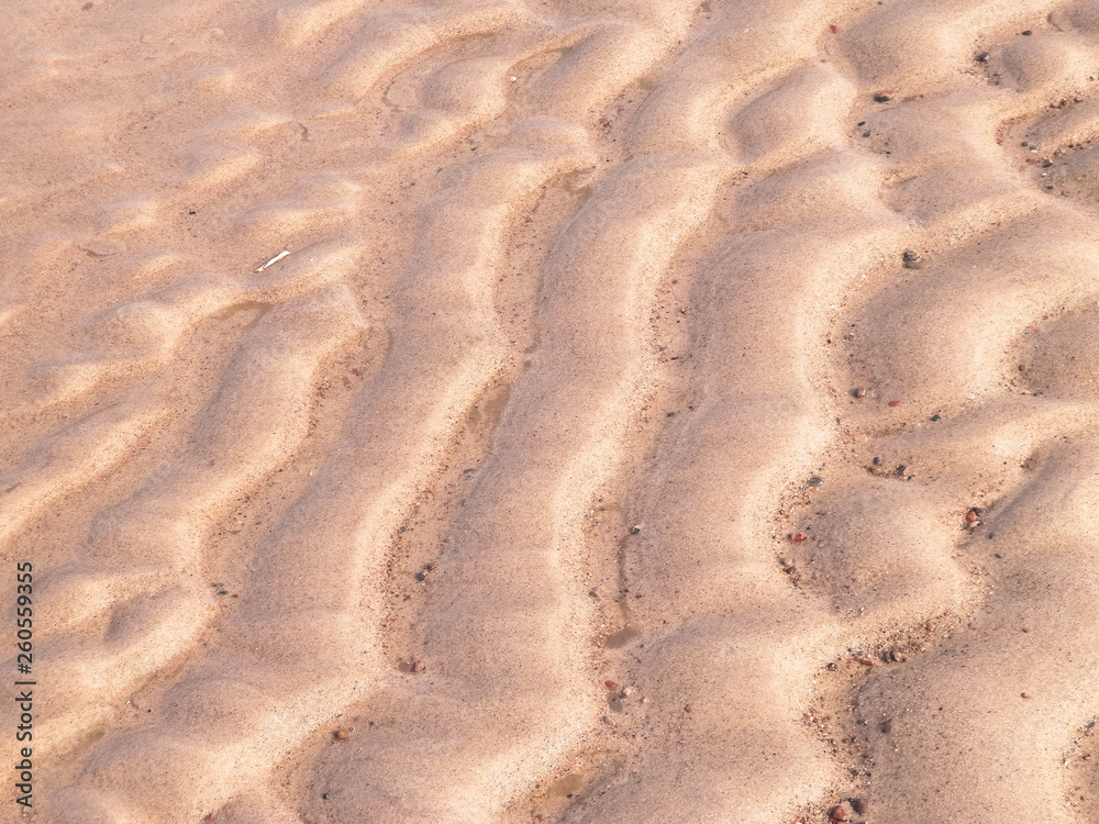 Fototapeta premium Sea shore as nature background.